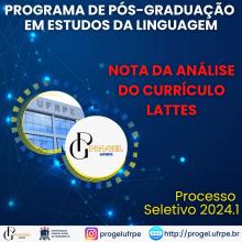 NOTAS DA ANÁLISE DO CURRÍCULO LATTES
